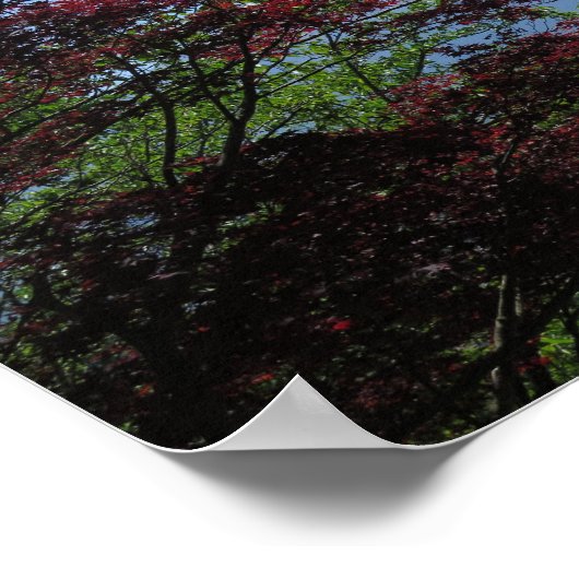 Fuji Japan Poster (Ecke)