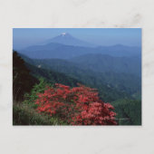 Fuji Postkarte (Vorderseite)