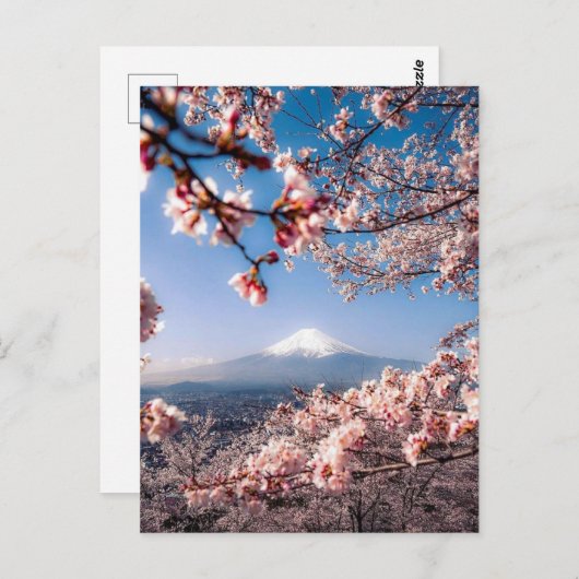 Fuji und Kirschbaum Postkarte (Vorne/Hinten)