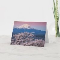 Fuji und Kirschblüten