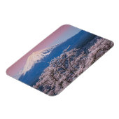 Fuji und Kirschblüten Magnet (Linke Seite)