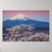 Fuji und Kirschblüten Poster (Vorne)
