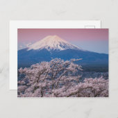 Fuji und Kirschblüten Postkarte (Vorne/Hinten)