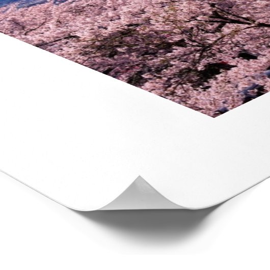 Fuki mit Sakura Poster (Ecke)