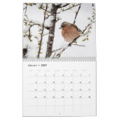 Fulger på Reigstad - Kalender 2021 (Feb 2027)