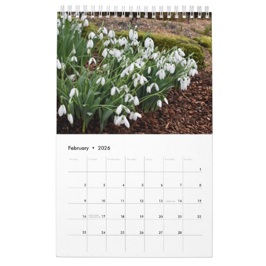 Full Bloom 2025 Calendar Eine Seite klein Kalender (Feb 2026)