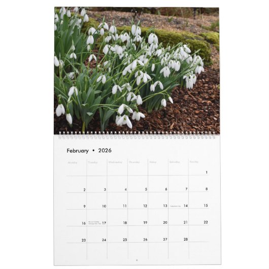 Full Bloom 2025 Kalender zweiseitige große (Feb 2026)