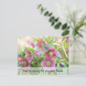 Full Bloom - Hellebohrungen! Postkarte (Stehend Vorderseite)