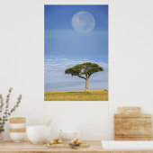 Full moon above acacia trees, Masai Mara, Poster (Küche)