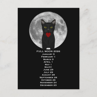 Full Moon  Cat 2026  Postcard Postkarte