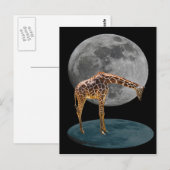 FULL MOON GIRAFFE POSTKARTE (Vorne/Hinten)