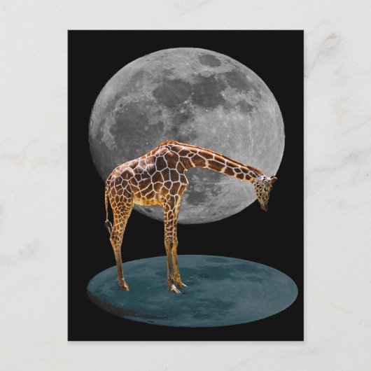FULL MOON GIRAFFE POSTKARTE (Vorderseite)