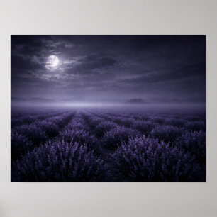 Full Moon Lavender Field Poster - Misty Night