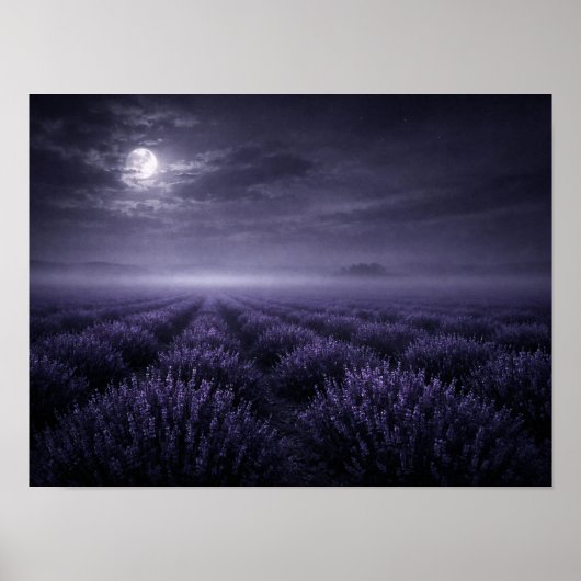 Full Moon Lavender Field Poster - Misty Night (Vorne)