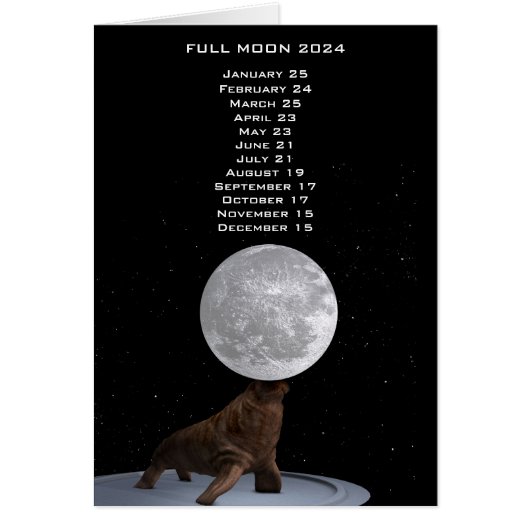 Full Moon Walrus 2024 US Eastern Date (Vorne)
