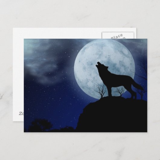 Full Moon Wolf Postkarte (Vorne/Hinten)