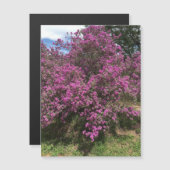 Full Rebel Sage Magnet (Vorne/Hinten)