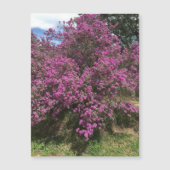 Full Rebel Sage Magnet (Vorderseite)