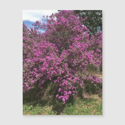 Full Rebel Sage Magnet (Vorderseite)