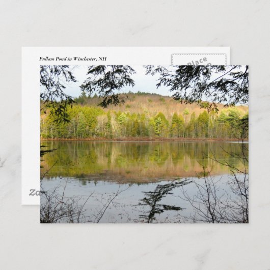 Fullam-Teich-Reflection Postkarte (Vorne/Hinten)