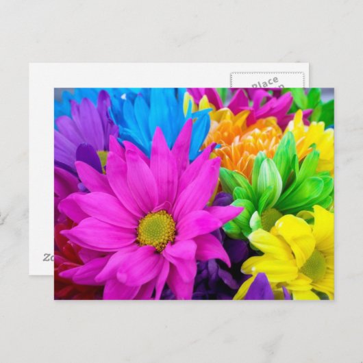 Fülle Blume Postkarte (Vorne/Hinten)