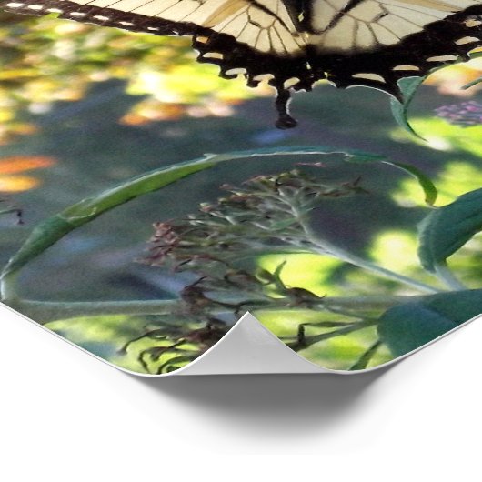 Fülle der Gnade Poster (Ecke)