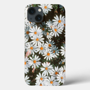 Fülle von weißen Gänseblümchen (Asteraceae) iPhone 13 Hülle