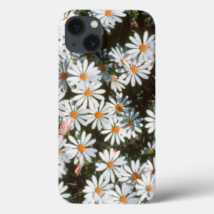 Fülle von weißen Gänseblümchen (Asteraceae) Case-Mate iPhone Hülle