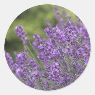 Füllen Sie die besonders angefertigte Runder Aufkleber