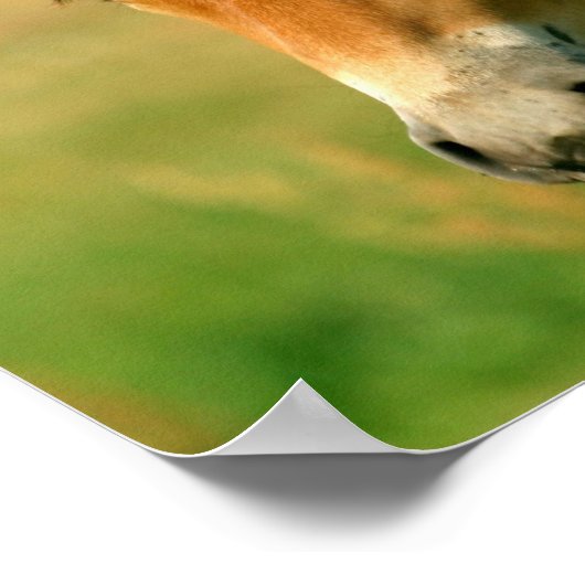 Füllhorndruck Poster (Ecke)