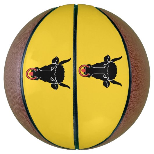 Fullsize Basketball with Flag of Uri Canton (Vertikal)