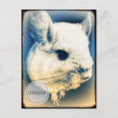 FullSizeRender Chinchillin Postkarte (Vorderseite)