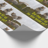 Füllten sie die Vogelzufuhr schon auf? Geschenkpapier (Ecke)