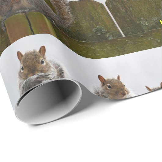 Füllten sie die Vogelzufuhr schon auf? Geschenkpapier (Rolleneckpunkt)