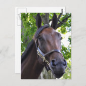 Füllung Postkarte (Vorne/Hinten)