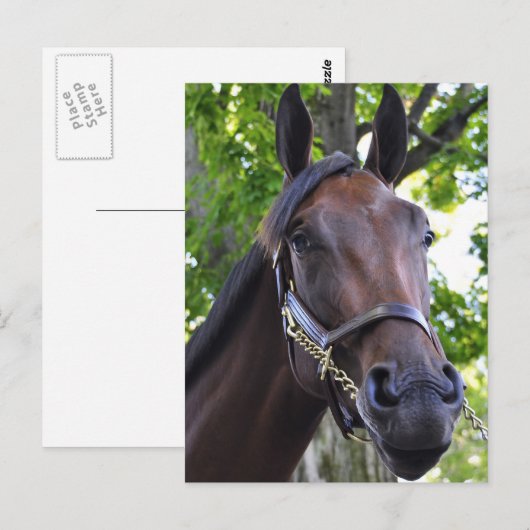 Füllung Postkarte (Vorne/Hinten)