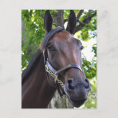 Füllung Postkarte (Vorderseite)