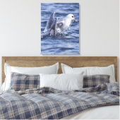 Fulmar Natur Foto Leinwand (Insitu (Schlafzimmer))