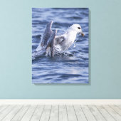 Fulmar Natur Foto Leinwand (Insitu (Holzboden))