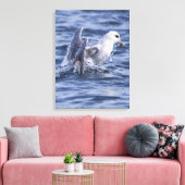 Fulmar Natur Foto Leinwand (Insitu (Wohnzimmer))