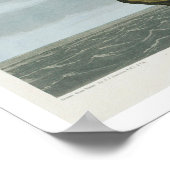 Fulmar Petrel von Audubon Poster (Ecke)