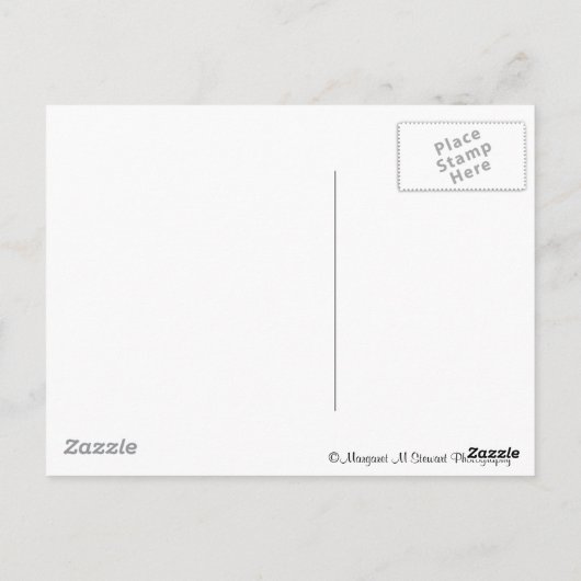 Fulmer Falls Postkarte (Rückseite)