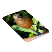 Fulvous pfeift duck on Rail Magnet (Rechte Seite)