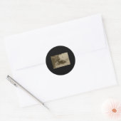 Fulvous Pfistling Duck Valencia Tint Sticker (Umschlag)