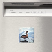 Fulvous Whistling Duck Magnet (In Situ (Geschirrspüler))