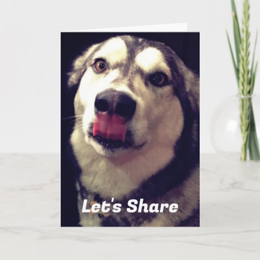 Fun Alaskan Malamute Cover Fotovorlage Karte (Vorderseite)