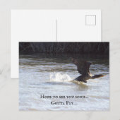 Fun Bird Postcard Postkarte (Vorne/Hinten)