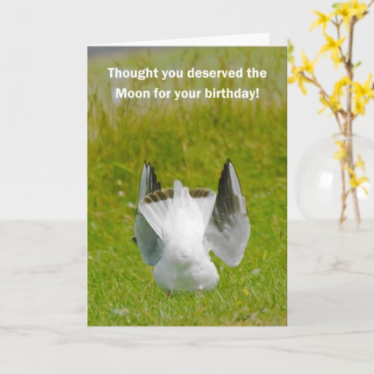 Fun Birthday Card - Mooning Seagull Karte (Gelbe Blume)
