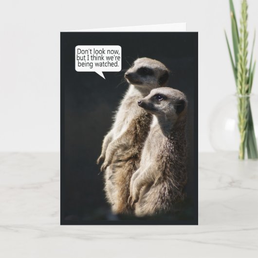 Fun Birthday Card With Meerkats - Humor Karte (Vorderseite)