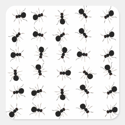 Fun Black Ant Bug Print Quadratischer Aufkleber (Vorderseite)